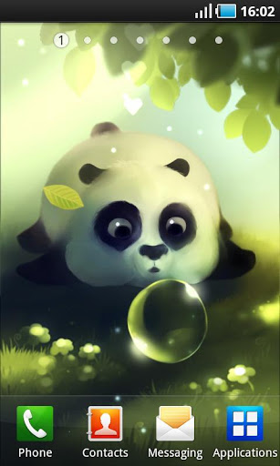 Hình Nền Panda Dumpling Gấu Trúc